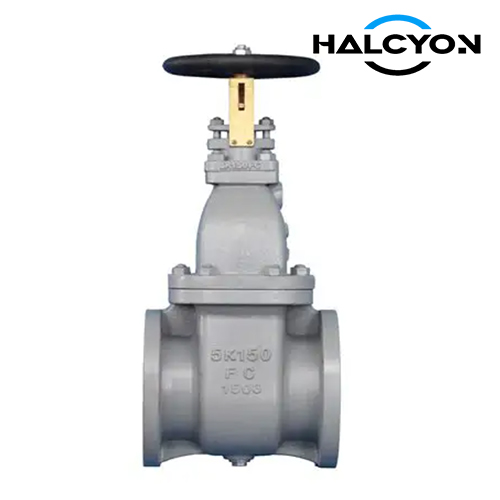 JIS F7363 Gate Valve Cast Iron 5K